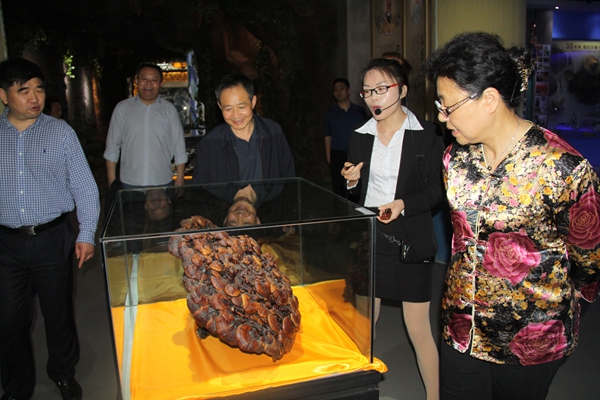 杭州亞運會官方靈芝產(chǎn)品供應商|杭州亞運會官方供應商|中國靈芝十大品牌|仙客來靈芝|仙客來靈芝破壁孢子粉|仙客來孢子油|仙客來靈芝飲片|仙客來破壁孢子粉|靈芝孢子油|孢子粉|靈芝破壁孢子粉|靈芝|中華老字號