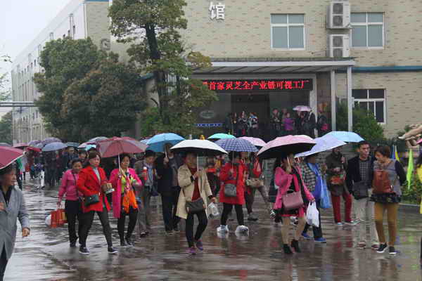 杭州亞運(yùn)會(huì)官方靈芝產(chǎn)品供應(yīng)商|杭州亞運(yùn)會(huì)官方供應(yīng)商|中國(guó)靈芝十大品牌|仙客來靈芝|仙客來靈芝破壁孢子粉|仙客來孢子油|仙客來靈芝飲片|仙客來破壁孢子粉|靈芝孢子油|孢子粉|靈芝破壁孢子粉|靈芝|中華老字號(hào)