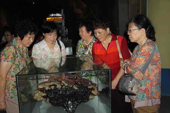 杭州亞運會官方靈芝產(chǎn)品供應商|杭州亞運會官方供應商|中國靈芝十大品牌|仙客來靈芝|仙客來靈芝破壁孢子粉|仙客來孢子油|仙客來靈芝飲片|仙客來破壁孢子粉|靈芝孢子油|孢子粉|靈芝破壁孢子粉|靈芝|中華老字號
