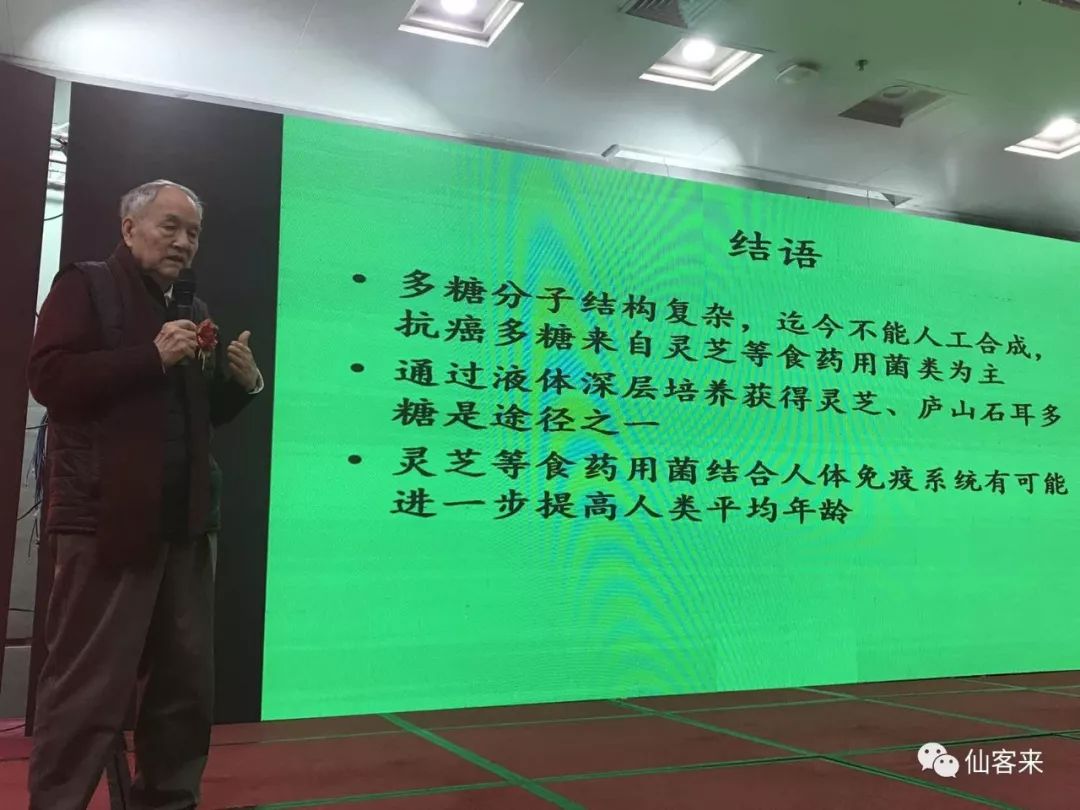 中國靈芝十大品牌|仙客來靈芝|仙客來靈芝破壁孢子粉|仙客來孢子油|仙客來靈芝飲片|仙客來破壁孢子粉|仙客來靈芝中藥飲片|馳名商標(biāo)|www.ampersand-ads.com|