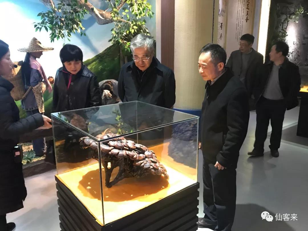 中國靈芝十大品牌|仙客來靈芝|仙客來靈芝破壁孢子粉|仙客來孢子油|仙客來靈芝飲片|仙客來破壁孢子粉|仙客來靈芝中藥飲片|馳名商標(biāo)|www.ampersand-ads.com|