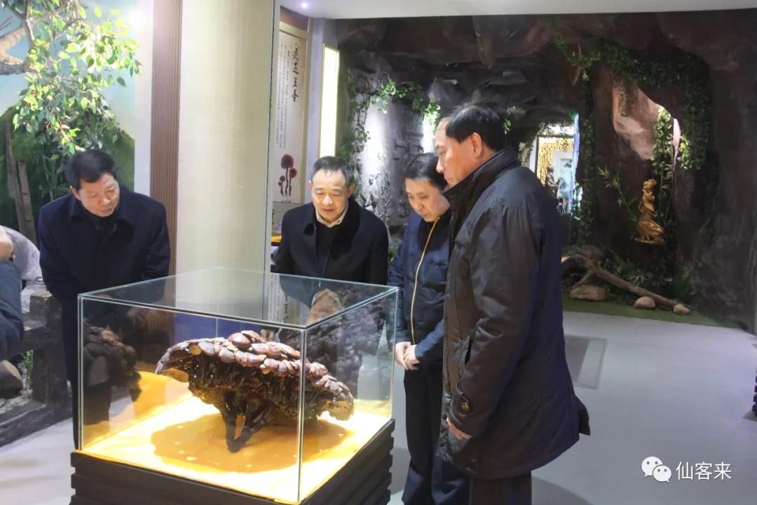 中國靈芝十大品牌|仙客來靈芝|仙客來靈芝破壁孢子粉|仙客來孢子油|仙客來靈芝飲片|仙客來破壁孢子粉|仙客來靈芝中藥飲片|馳名商標(biāo)|www.ampersand-ads.com|