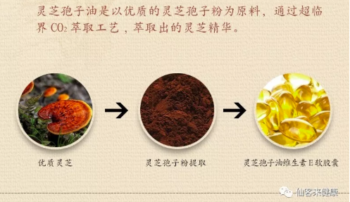 中國靈芝十大品牌|仙客來靈芝|仙客來靈芝破壁孢子粉|仙客來孢子油|仙客來靈芝飲片|仙客來破壁孢子粉|仙客來靈芝中藥飲片|馳名商標|www.ampersand-ads.com|