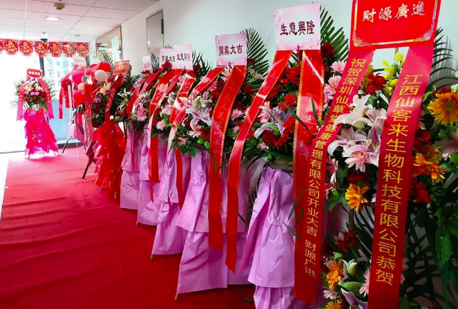 中國靈芝十大品牌|仙客來靈芝|仙客來靈芝破壁孢子粉|仙客來孢子油|仙客來靈芝飲片|仙客來破壁孢子粉|仙客來靈芝中藥飲片|馳名商標(biāo)|www.ampersand-ads.com|