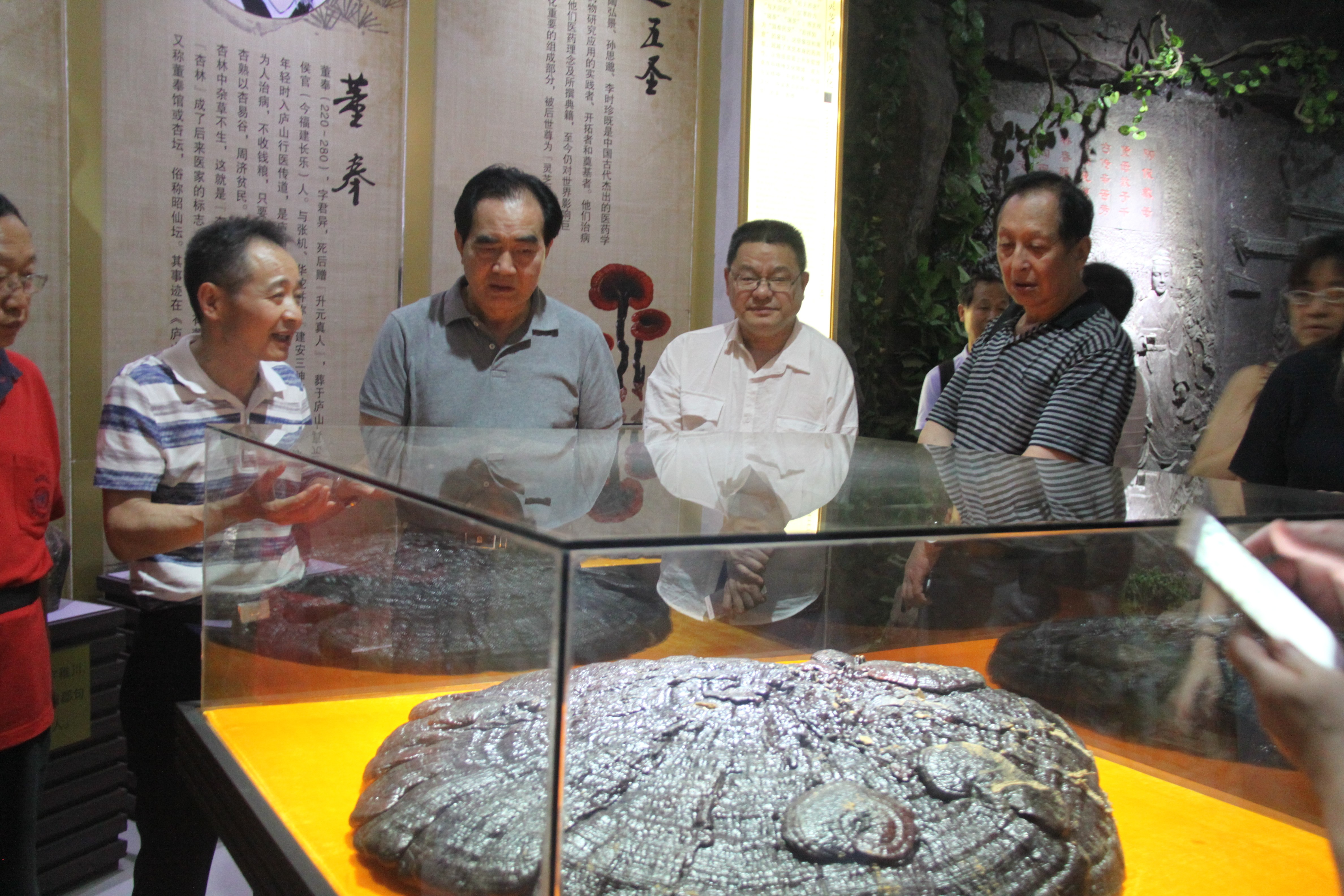 中國靈芝十大品牌|仙客來靈芝|仙客來靈芝破壁孢子粉|仙客來孢子油|仙客來靈芝飲片|仙客來破壁孢子粉|仙客來靈芝中藥飲片|馳名商標(biāo)|www.ampersand-ads.com|