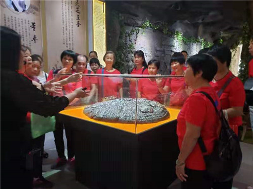 中國靈芝十大品牌|仙客來靈芝|仙客來靈芝破壁孢子粉|仙客來孢子油|仙客來靈芝飲片|仙客來破壁孢子粉|仙客來靈芝中藥飲片|馳名商標|www.ampersand-ads.com|