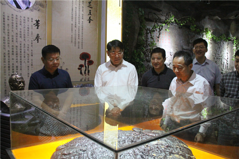 中國靈芝十大品牌|仙客來靈芝|仙客來靈芝破壁孢子粉|仙客來孢子油|仙客來靈芝飲片|仙客來破壁孢子粉|仙客來靈芝中藥飲片|馳名商標(biāo)|www.ampersand-ads.com|