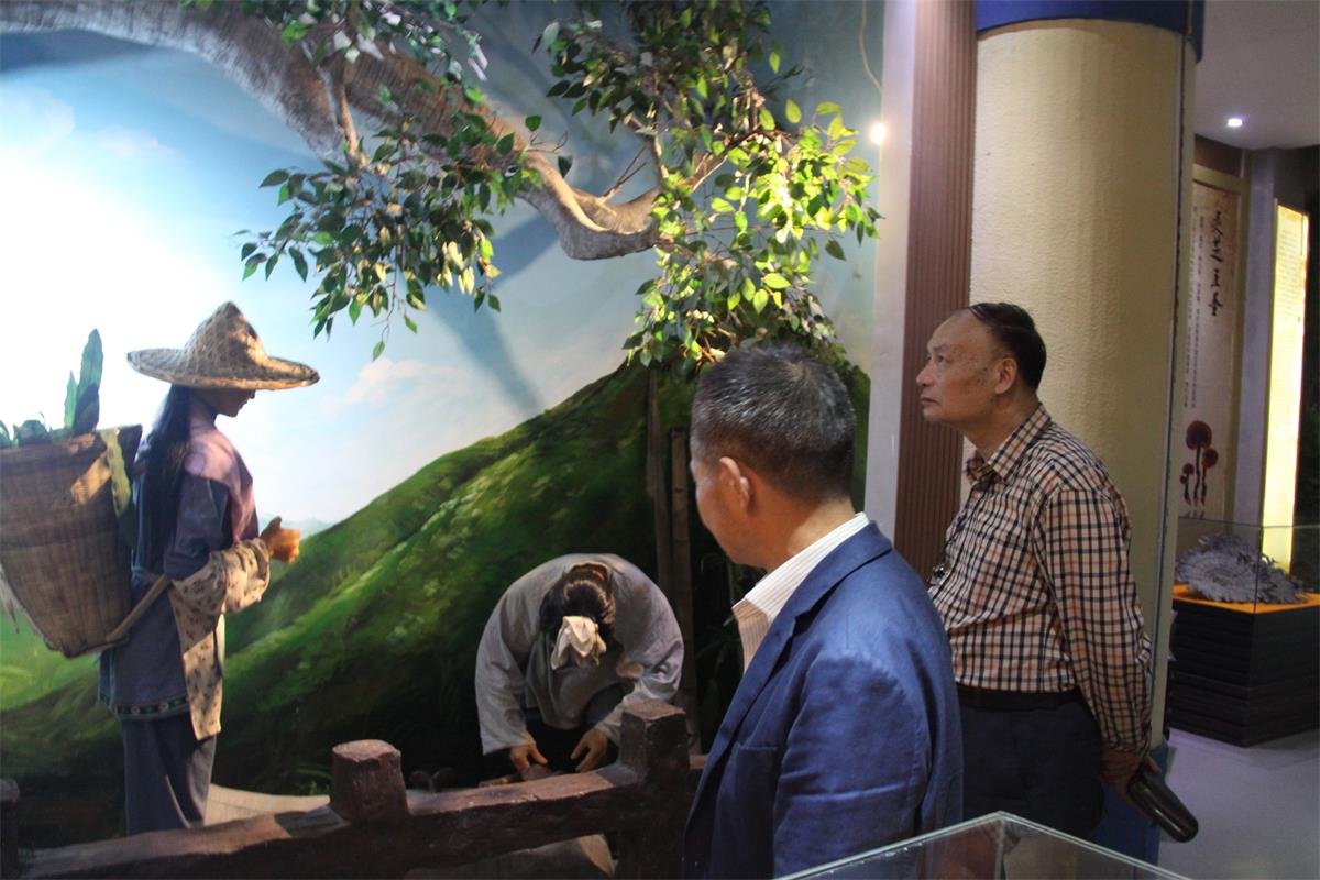 中國(guó)靈芝十大品牌|仙客來(lái)靈芝|仙客來(lái)靈芝破壁孢子粉|仙客來(lái)孢子油|仙客來(lái)靈芝飲片|仙客來(lái)破壁孢子粉|仙客來(lái)靈芝中藥飲片|馳名商標(biāo)|www.ampersand-ads.com|