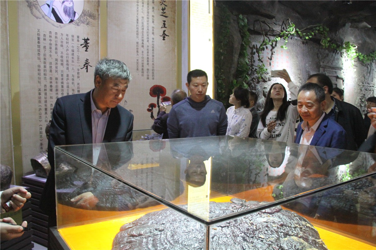 中國靈芝十大品牌|仙客來靈芝|仙客來靈芝破壁孢子粉|仙客來孢子油|仙客來靈芝飲片|仙客來破壁孢子粉|仙客來靈芝中藥飲片|馳名商標(biāo)|www.ampersand-ads.com|