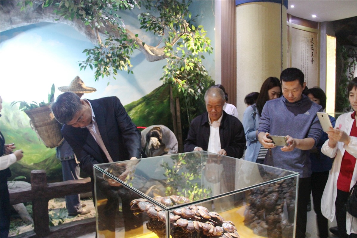 中國靈芝十大品牌|仙客來靈芝|仙客來靈芝破壁孢子粉|仙客來孢子油|仙客來靈芝飲片|仙客來破壁孢子粉|仙客來靈芝中藥飲片|馳名商標(biāo)|www.ampersand-ads.com|