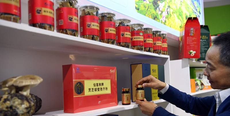 中國靈芝十大品牌|仙客來靈芝|仙客來靈芝破壁孢子粉|仙客來孢子油|仙客來靈芝飲片|仙客來破壁孢子粉|仙客來靈芝中藥飲片|馳名商標|www.ampersand-ads.com|