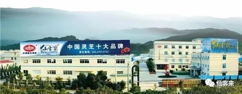 中國靈芝十大品牌|仙客來靈芝|仙客來靈芝破壁孢子粉|仙客來孢子油|仙客來靈芝飲片|仙客來破壁孢子粉|仙客來靈芝中藥飲片|馳名商標|www.ampersand-ads.com|
