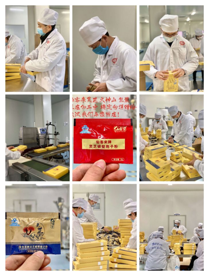 中國靈芝十大品牌|仙客來靈芝|仙客來靈芝破壁孢子粉|仙客來孢子油|仙客來靈芝飲片|仙客來破壁孢子粉|仙客來靈芝中藥飲片|馳名商標(biāo)|www.ampersand-ads.com|