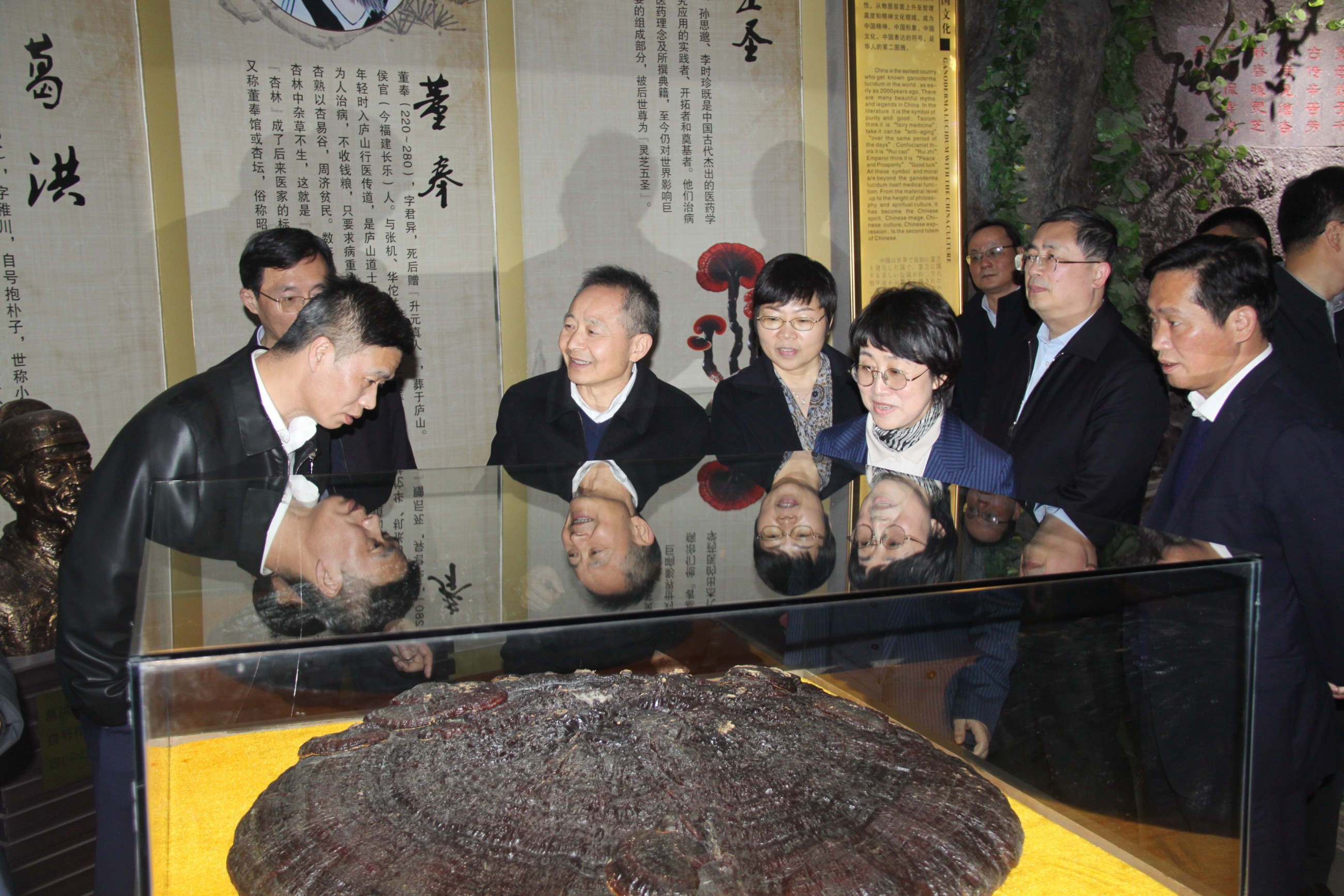 杭州亞運會官方靈芝產(chǎn)品供應商|杭州亞運會官方供應商|中國靈芝十大品牌|仙客來靈芝|仙客來靈芝破壁孢子粉|仙客來孢子油|仙客來靈芝飲片|仙客來破壁孢子粉|靈芝孢子油|孢子粉|靈芝破壁孢子粉|靈芝|中華老字號