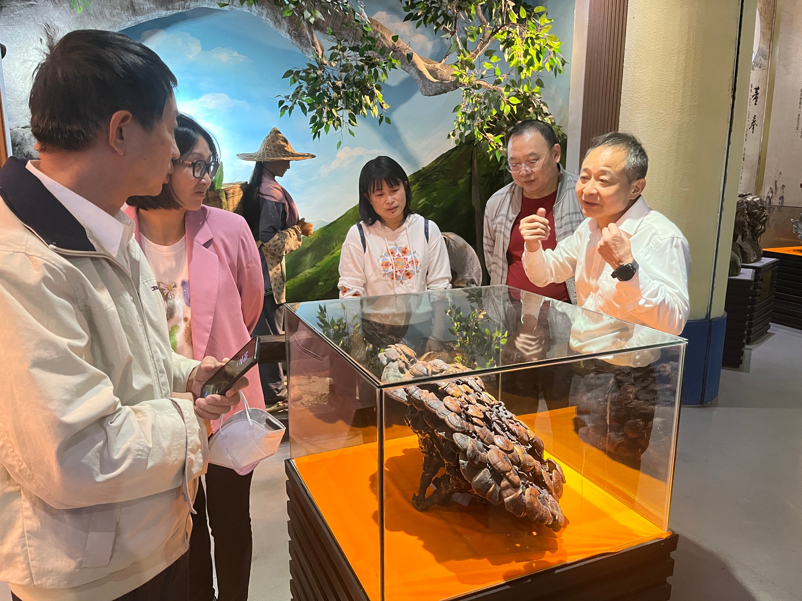 杭州亞運會官方靈芝產(chǎn)品供應(yīng)商|杭州亞運會官方供應(yīng)商|中國靈芝十大品牌|仙客來靈芝|仙客來靈芝破壁孢子粉|仙客來孢子油|仙客來靈芝飲片|仙客來破壁孢子粉|靈芝孢子油|孢子粉|靈芝破壁孢子粉|靈芝|中華老字號
