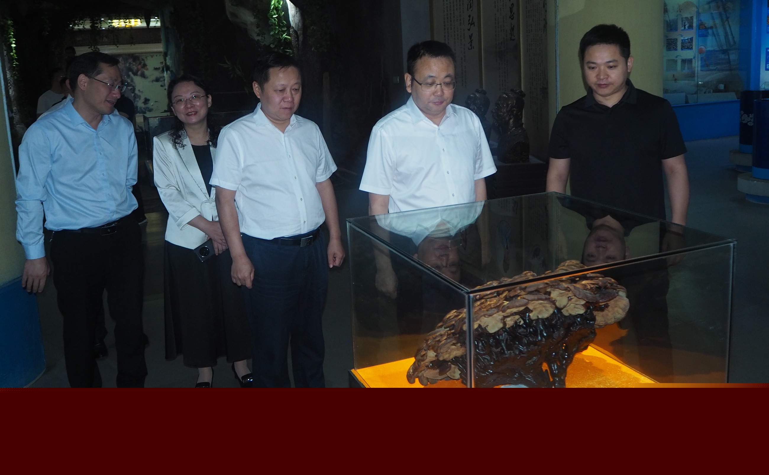 杭州亞運(yùn)會(huì)官方靈芝產(chǎn)品供應(yīng)商|杭州亞運(yùn)會(huì)官方供應(yīng)商|中國(guó)靈芝十大品牌|仙客來(lái)靈芝|仙客來(lái)靈芝破壁孢子粉|仙客來(lái)孢子油|仙客來(lái)靈芝飲片|仙客來(lái)破壁孢子粉|靈芝孢子油|孢子粉|靈芝破壁孢子粉|靈芝|中華老字號(hào)