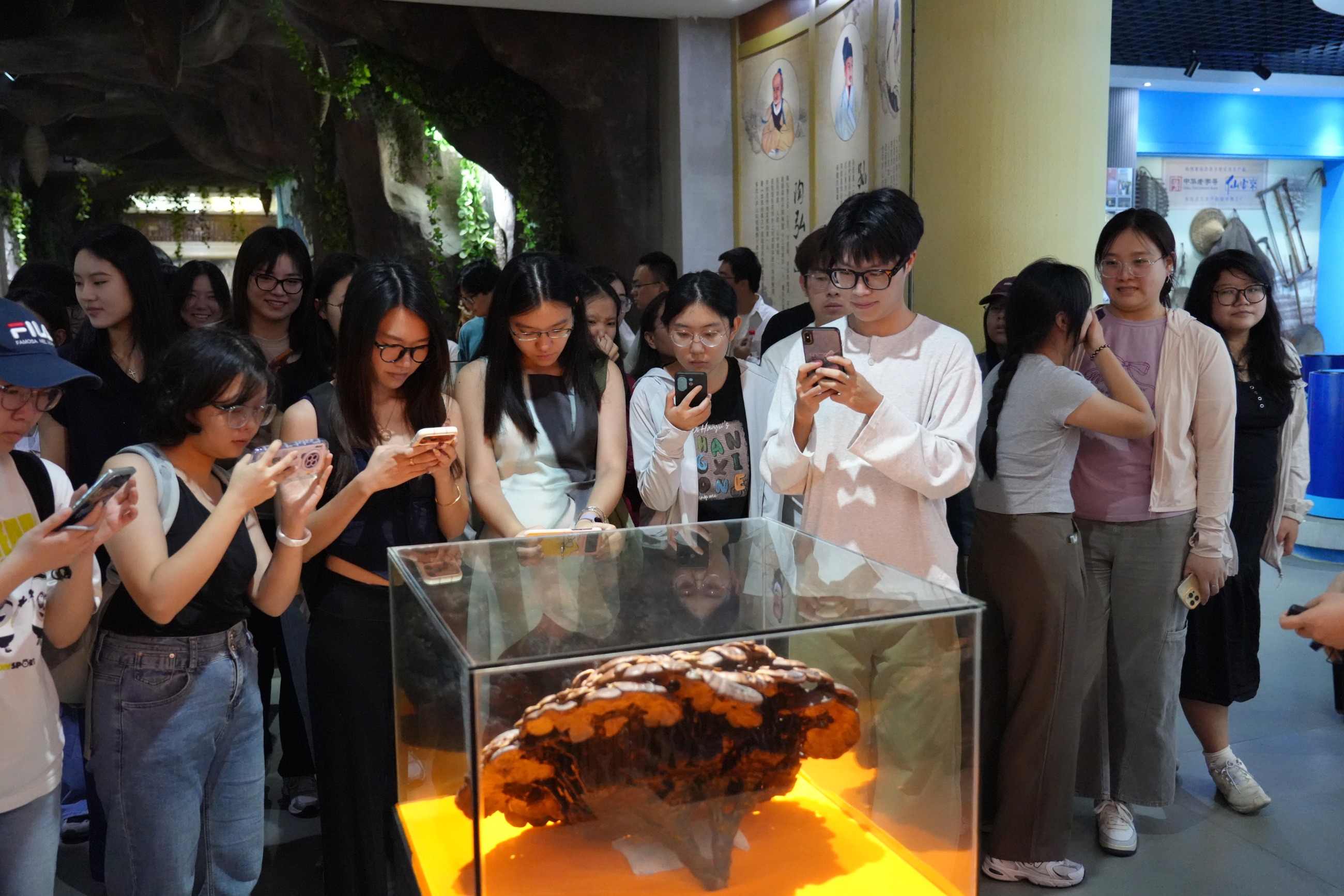 杭州亞運(yùn)會(huì)官方靈芝產(chǎn)品供應(yīng)商|杭州亞運(yùn)會(huì)官方供應(yīng)商|中國靈芝十大品牌|仙客來靈芝|仙客來靈芝破壁孢子粉|仙客來孢子油|仙客來靈芝飲片|仙客來破壁孢子粉|靈芝孢子油|孢子粉|靈芝破壁孢子粉|靈芝|中華老字號(hào) 杭州亞運(yùn)會(huì)官方靈芝產(chǎn)品供應(yīng)商|杭州亞運(yùn)會(huì)官方供應(yīng)商|中國靈芝十大品牌|仙客來靈芝|仙客來靈芝破壁孢子粉|仙客來孢子油|仙客來靈芝飲片|仙客來破壁孢子粉|靈芝孢子油|孢子粉|靈芝破壁孢子粉|靈芝|中華老字號(hào)