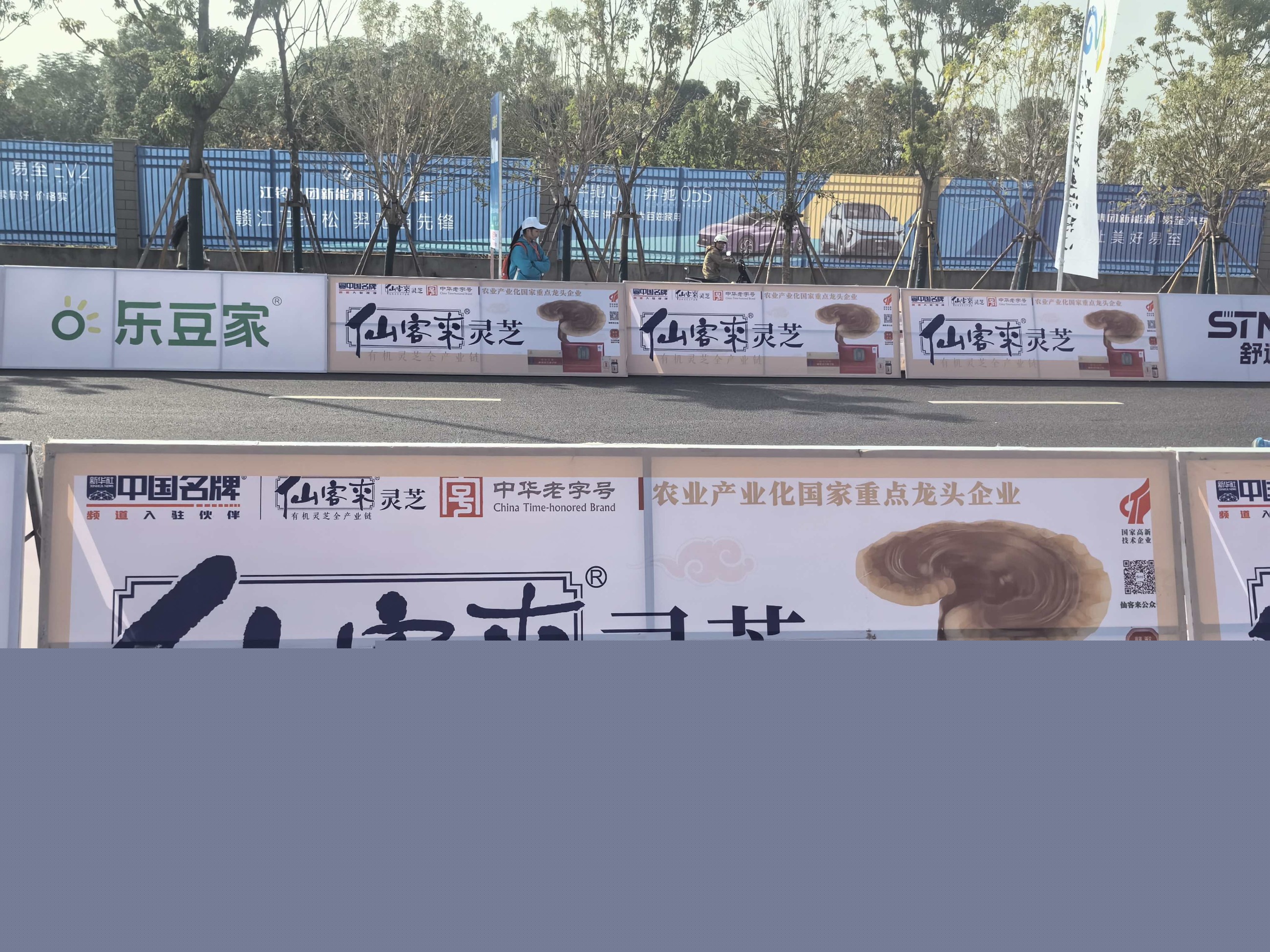 杭州亞運(yùn)會官方靈芝產(chǎn)品供應(yīng)商|杭州亞運(yùn)會官方供應(yīng)商|中國靈芝十大品牌|仙客來靈芝|仙客來靈芝破壁孢子粉|仙客來孢子油|仙客來靈芝飲片|仙客來破壁孢子粉|靈芝孢子油|孢子粉|靈芝破壁孢子粉|靈芝|中華老字號