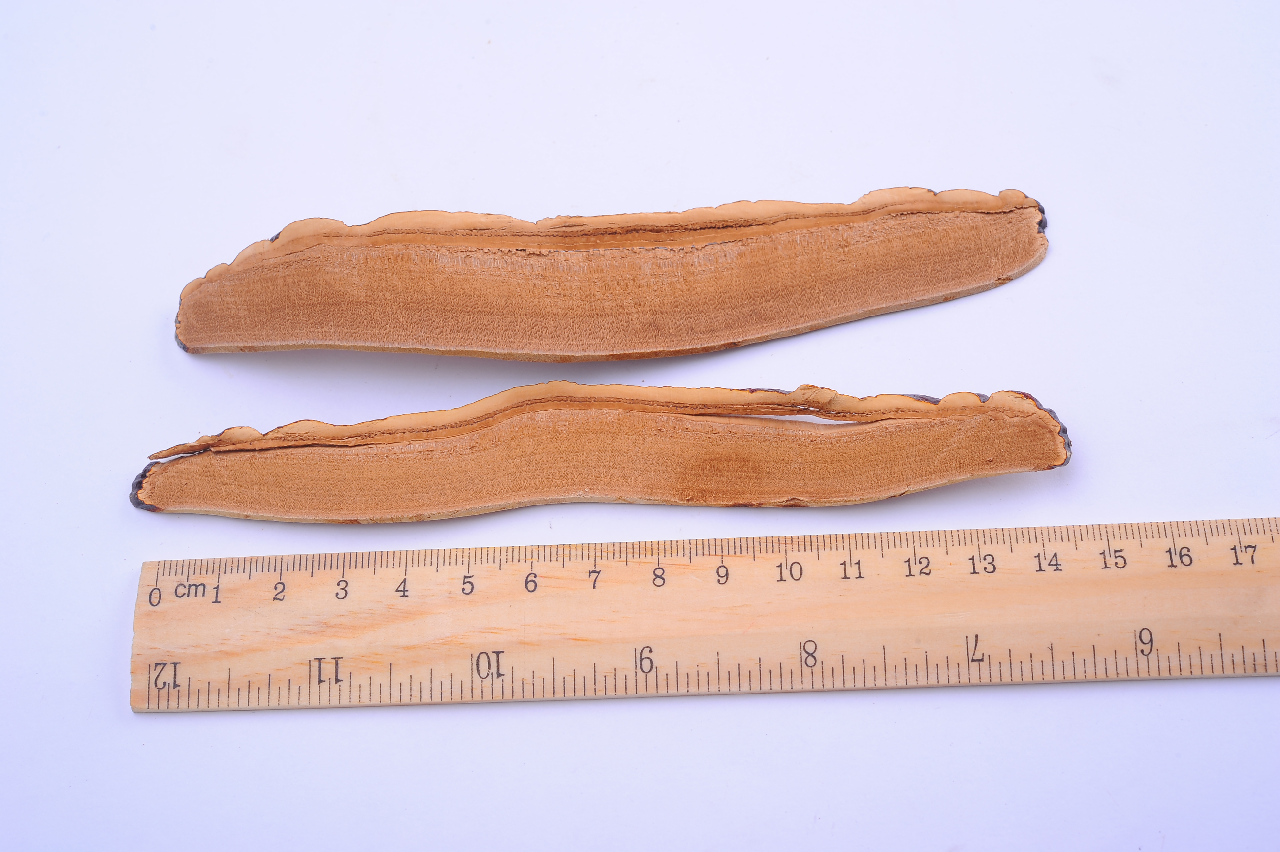 杭州亞運(yùn)會官方靈芝產(chǎn)品供應(yīng)商|杭州亞運(yùn)會官方供應(yīng)商|中國靈芝十大品牌|仙客來靈芝|仙客來靈芝破壁孢子粉|仙客來孢子油|仙客來靈芝飲片|仙客來破壁孢子粉|靈芝孢子油|孢子粉|靈芝破壁孢子粉|靈芝|中華老字號