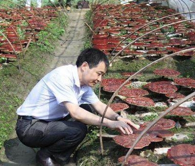 《中國食品報》報道仙客來公司多產(chǎn)業(yè)融合發(fā)展