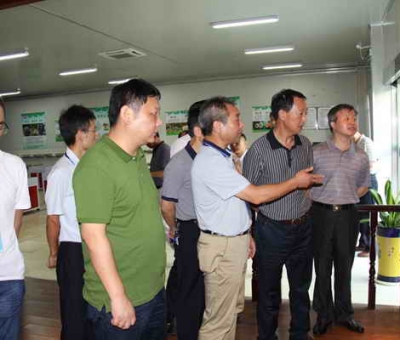 德安縣委、人大、政協(xié)領導考察仙客來公司