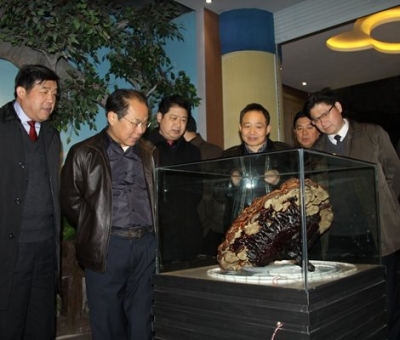 市委常委、宣傳部長(zhǎng)潘熙寧，副市長(zhǎng)盧天錫蒞臨仙客來(lái)公司走訪