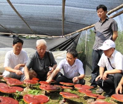 仙客來產業(yè)園景區(qū)獲批三產融合旅游國家級3A景區(qū)