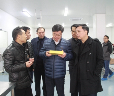 江西省檢察院黨組成員、副檢察長(zhǎng)徐勝平一行來公司走訪調(diào)研