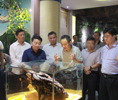 “降成本，優(yōu)環(huán)境”助企業(yè)騰飛——江西省政協(xié)副主席率團調(diào)研仙客來！