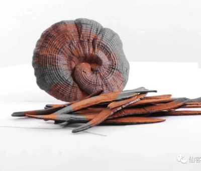 先，鮮，仙，一杯飲盡天下鮮。