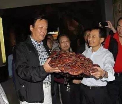 這樣過(guò)三月才是人生贏家！