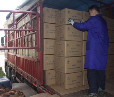 【4天加班15次缺貨】只為人皆有“芝”！