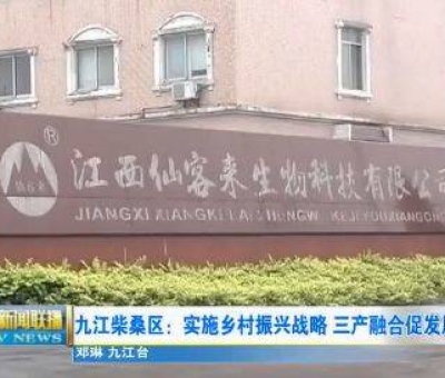 中國人只需要“別具”，缺失了“匠心”！