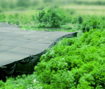 感謝廬山吧，這會是一場“仙旅情緣”