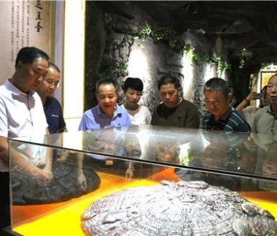 九江市南昌商會(huì)陳小平會(huì)長(zhǎng)一行來仙客來公司參觀考察