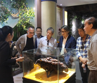 健康“良方”在這！全國(guó)政協(xié)委員、世界著名大學(xué)香港大學(xué) 榮譽(yù)院士孫少文博士蒞臨仙客來(lái)公司參觀考察