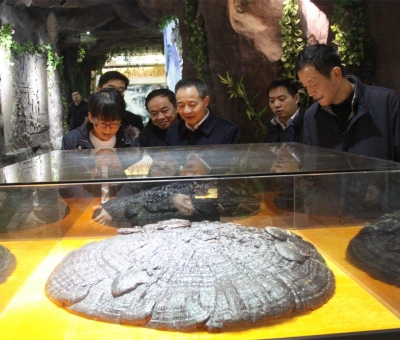 國(guó)家民委領(lǐng)導(dǎo)蒞臨仙客來公司考察調(diào)研