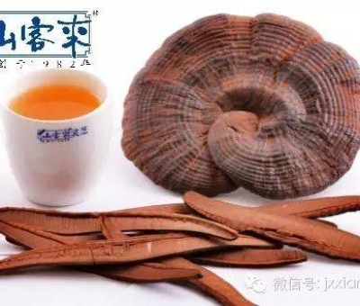 熱潮不斷！仙客來有機靈芝被點贊刷屏