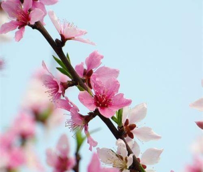 清明小長假謹防疫情！健康長壽請謹記這“三個字”