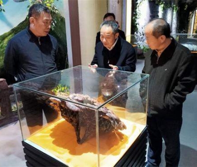 中華全國供銷合作總社原副主任戴公興一行蒞臨仙客來公司視察指導