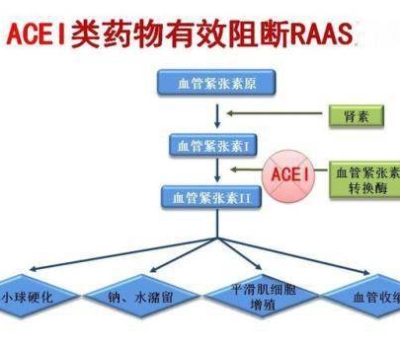 不吃藥，能降低高血壓？