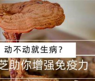 年齡增長免疫力降低  合理預防別給疾病可乘之機