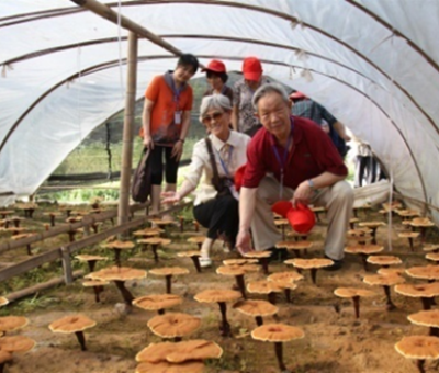 “七一勛章”獲得者張桂梅背后的故事：他們將靈芝磨成粉，送給她拌飯吃，說，吃這些能治病