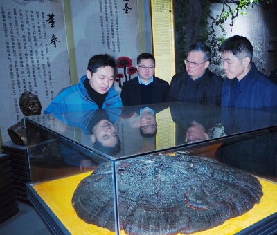 中國(guó)農(nóng)業(yè)銀行江西省分行副行長(zhǎng)李麒麟一行蒞臨仙客來(lái)公司參觀考察