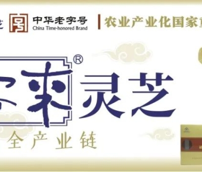 贊助商-仙客來靈芝，為健康加油